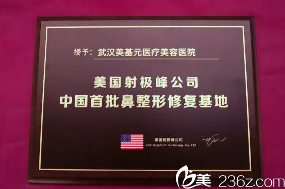 美国射极峰修复基地