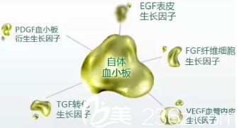 董春姬医生擅长的PRP血胶原疗法 董春姬医生擅长的PRP血胶原疗法