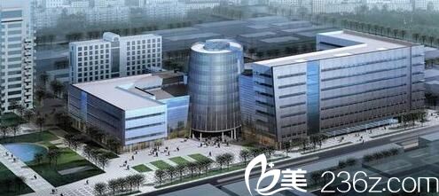 上海市长海医院整形外科全景