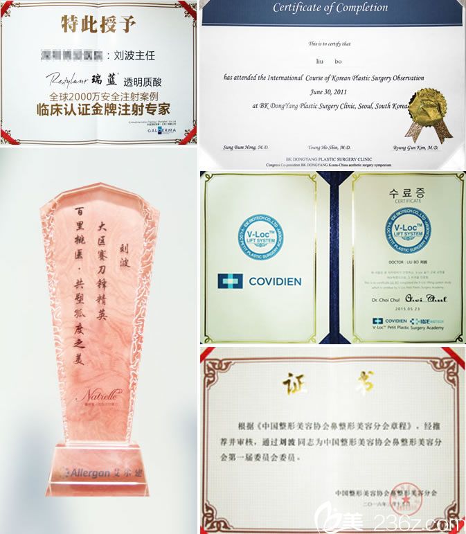 宁波薇琳刘波院长的荣誉证书 宁波薇琳刘波院长的荣誉证书