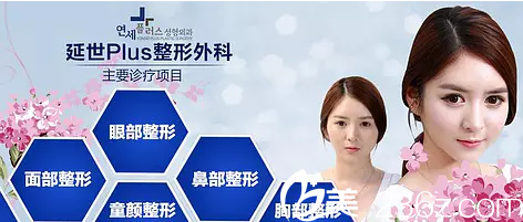 延世Plus整形外科医院主要擅长整形项目介绍 延世Plus整形外科医院主要擅长整形项目介绍