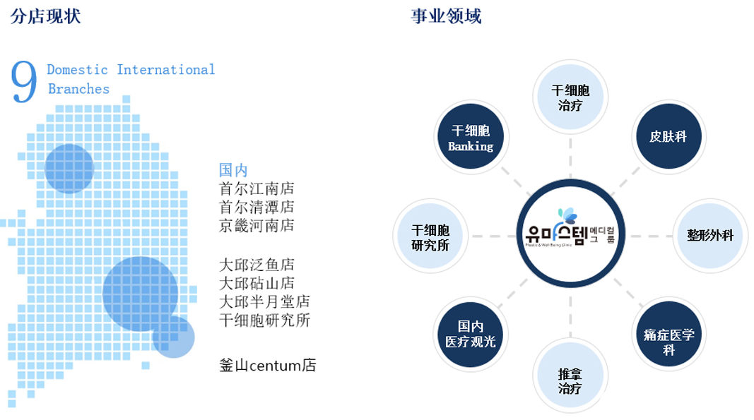 维摩医院集团事业领域 维摩医院集团事业领域