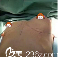 ELLIUM女性医院案例 ELLIUM女性医院案例