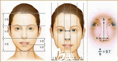 东方艺定制美鼻标准