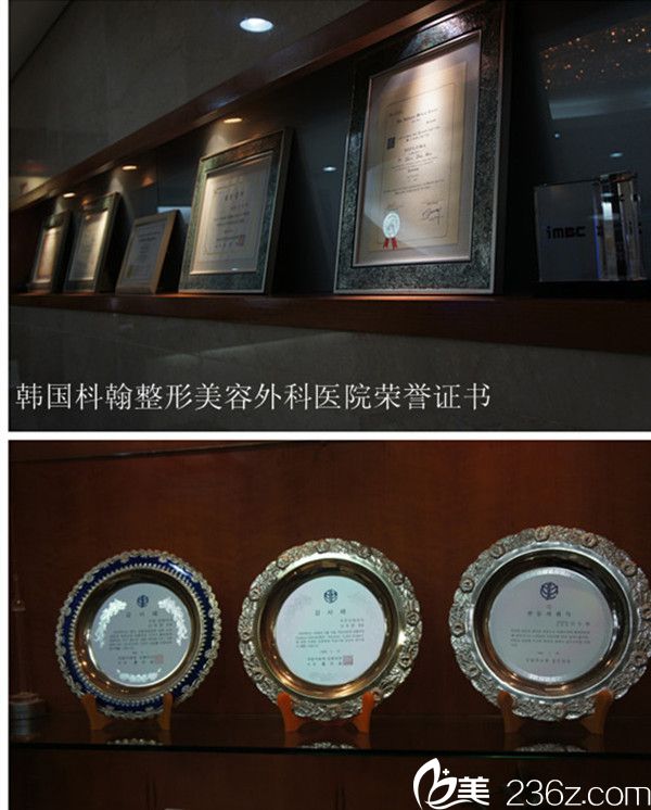韩国枓翰整形外科医院荣誉 韩国枓翰整形外科医院荣誉