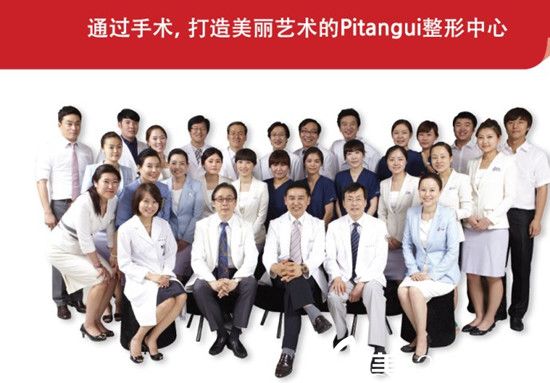 韩国必当归（Pitanggui）整形医院医生团队