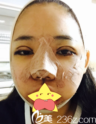 第二天,感觉自己是猪猪 第二天,感觉自己是猪猪