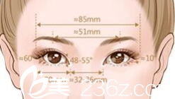 双眼皮设计原理