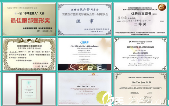 整形医生崔向葵学术成就