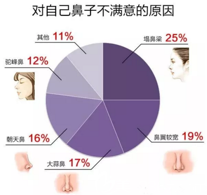对自己鼻子不满意的人群比例