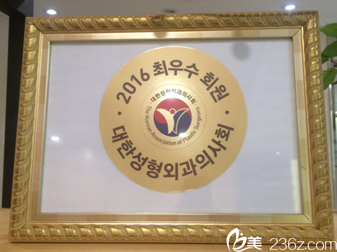 大韩整形外科医师协会颁发的2016年会员奖