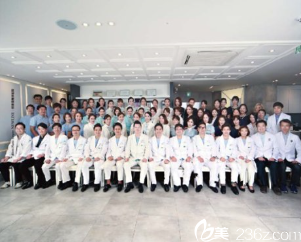 医疗团队 医疗团队