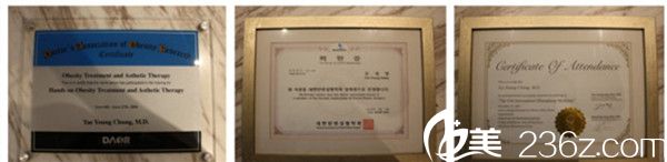 郑太英院长荣誉证书 郑太英院长荣誉证书