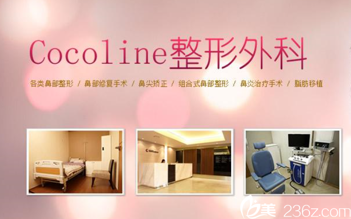 整形项目 整形项目