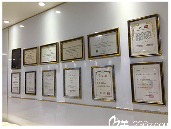 韩国美人制造整形医院荣誉