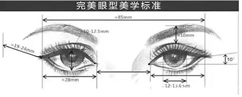 大同美神完美眼型美学标准图
