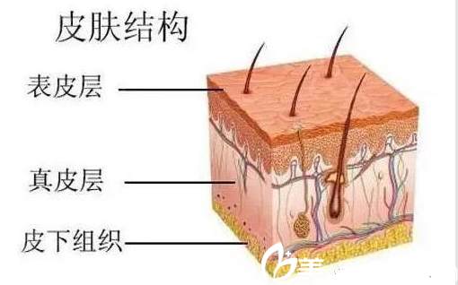 皮肤衰老开始出现晒斑，细纹、色素？选择长春刘金梅1180元起就能改善