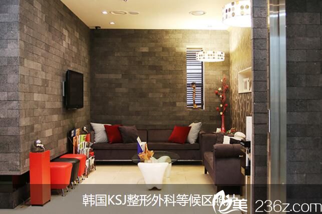 韩国KSJ整形外科 韩国KSJ整形外科