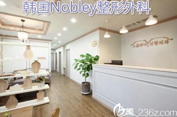 韩国NOBLEY整形外科