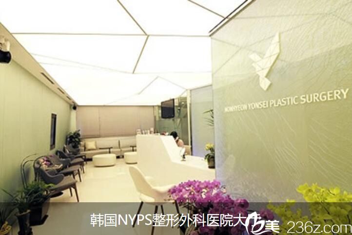 韩国NYPS整形外科 韩国NYPS整形外科