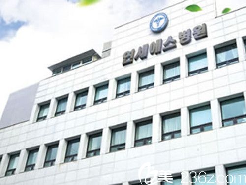 韩国延世SK整形医院 韩国延世SK整形医院