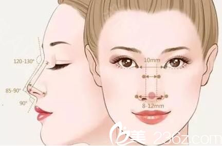 当今流行的网红鼻形