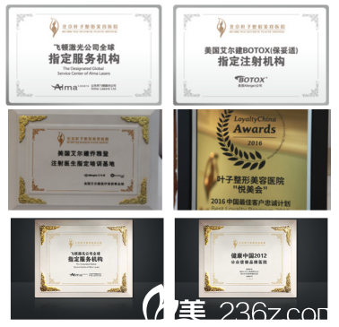 北京叶子部分荣誉证书 北京叶子部分荣誉证书