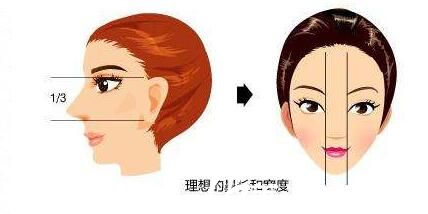 假体隆鼻理想标准