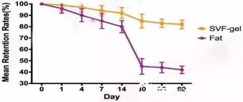 普通脂肪移植和SVF脂肪胶移植成活率对比