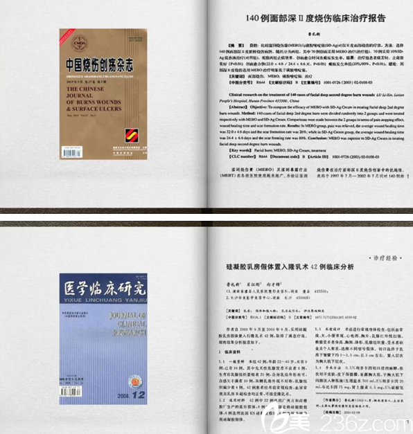 鲁礼新学术论文