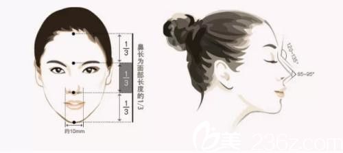 假体隆鼻 假体隆鼻