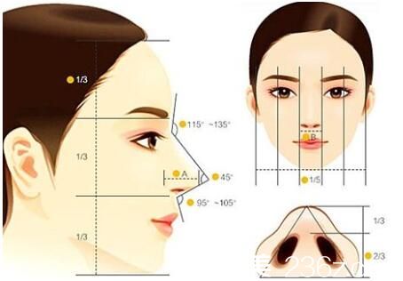 韩国AURORA 整形外科医院假体隆鼻原理 韩国AURORA 整形外科医院假体隆鼻原理