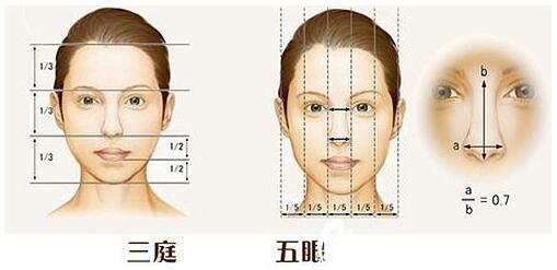 韩国AURORA 整形外科医院假体隆鼻标准