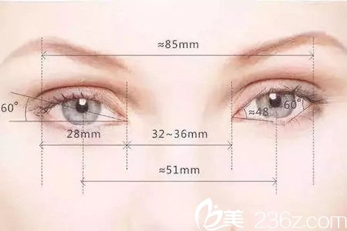 双眼皮标准