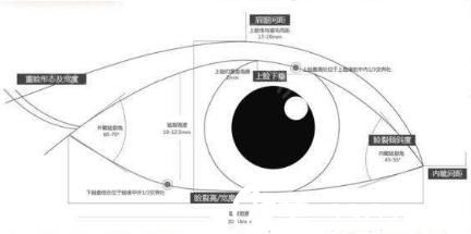 全切双眼皮修复