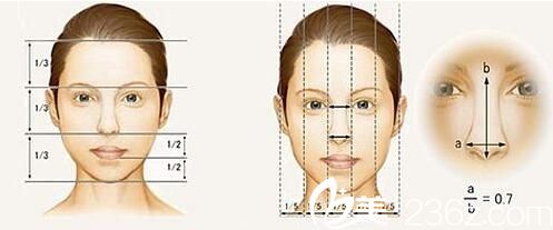 硅胶隆鼻 硅胶隆鼻