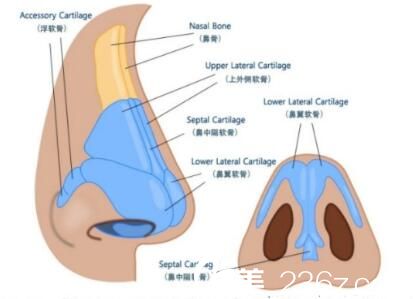 硅胶隆鼻好不好? 硅胶隆鼻好不好?