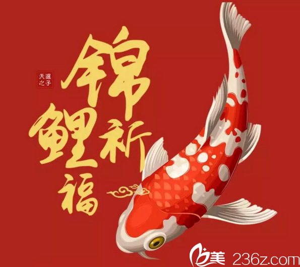 株洲韩美锦鲤祈福