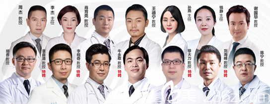 双11韩辰整形医院坐诊医生名单