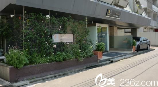 Sapho美容整形医院 Sapho美容整形医院