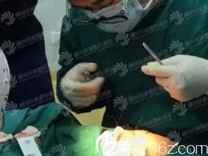 将肋软骨植入鼻子内