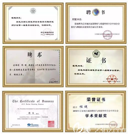 杭州维多利亚程健院长荣誉证书