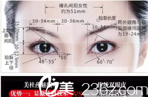 眼睛整形示意图