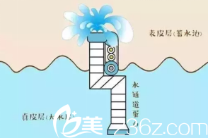 肌肤水分布状况