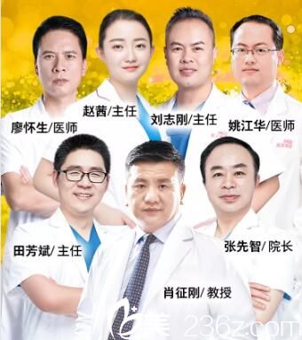 长沙雅美医疗整形美容医生团 长沙雅美医疗整形美容医生团