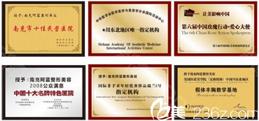 南充阆中阿蓝所获荣誉 南充阆中阿蓝所获荣誉