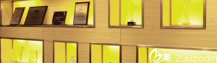 泰国颜禾整形医院荣誉 泰国颜禾整形医院荣誉