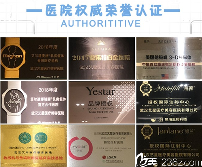 武汉艺星所获部分荣誉 武汉艺星所获部分荣誉