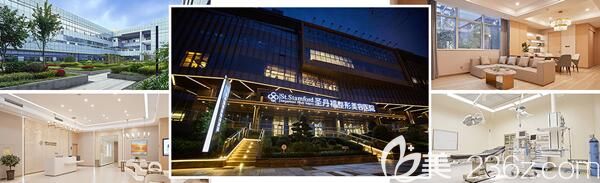 成都圣丹福整形美容医院隆鼻项目价目表大公开 假体隆鼻+耳软骨鼻尖延长3980元起