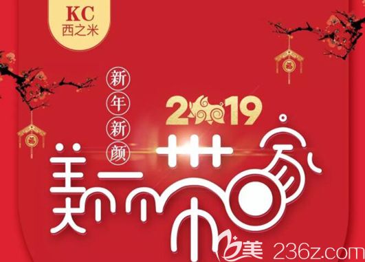 恭喜您获得一份长春西之米整形提供的2019新年优惠价格表，美眼综合只要3980元